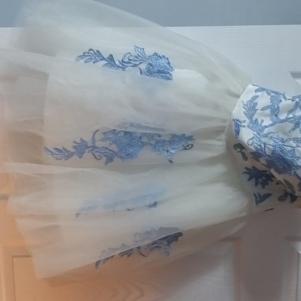 Beautiful White and blue floral homecoming dress